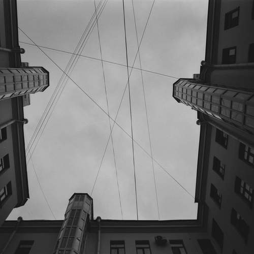 Photo #11801174