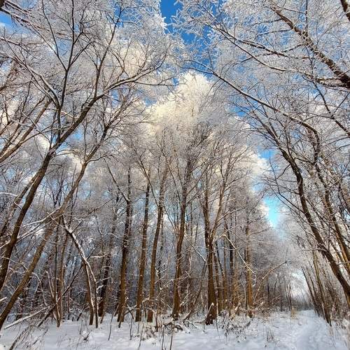 Photo #11801201