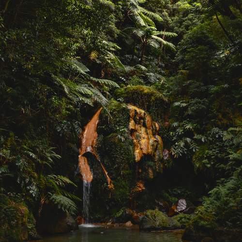 Photo #11801375
