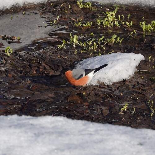 Photo #11801680