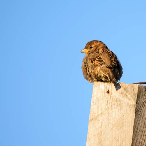 Photo #11801692