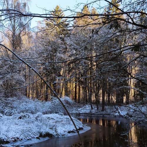 Photo #11802125
