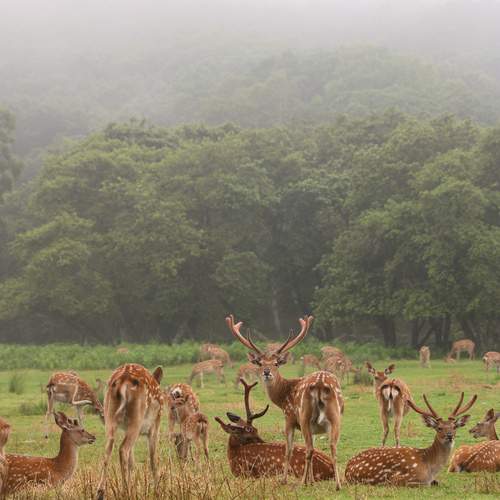Photo #11802163