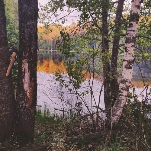 Photo #11802230