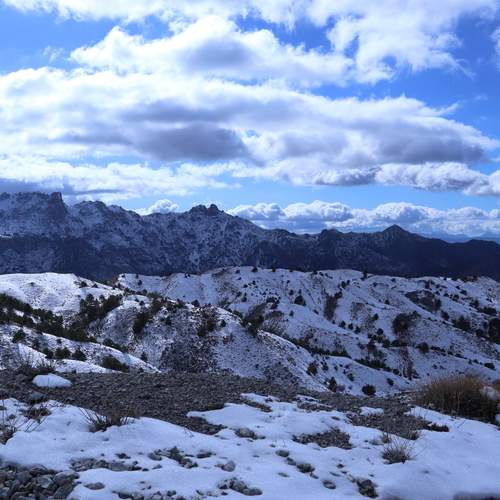 Photo #11802321