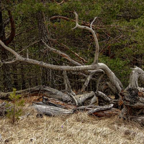 Photo #11802412