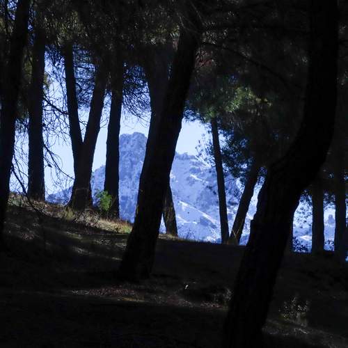 Photo #11802430