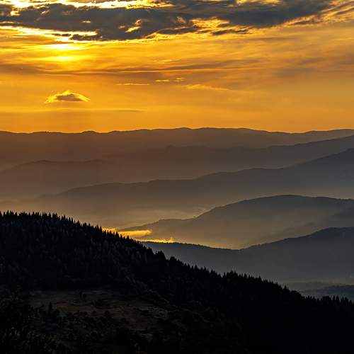 Photo #11802452