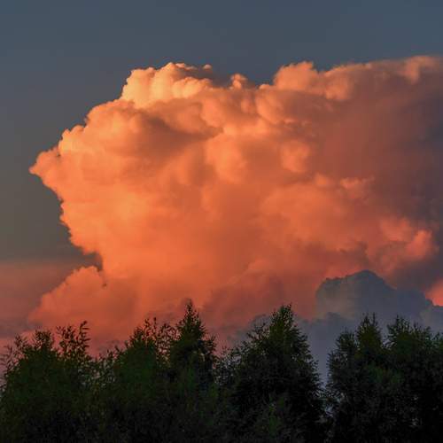 Photo #11802474