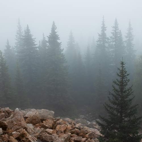 Photo #11802477