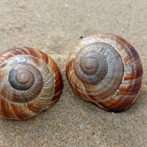 Photo #11802673