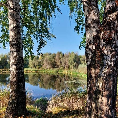 Photo #11802694