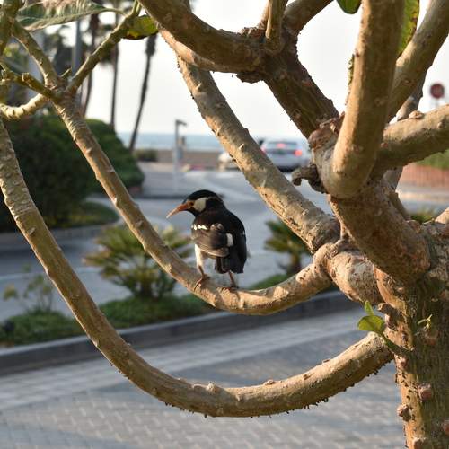 Photo #11802742