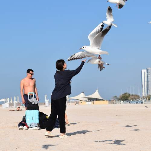 Photo #11802744