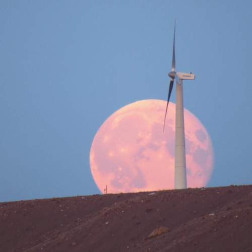 Photo #11802789