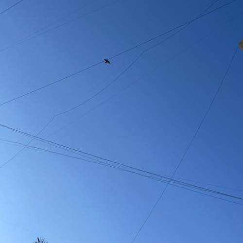 Photo #11802877