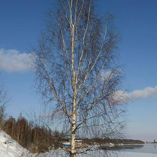 Photo #11803092