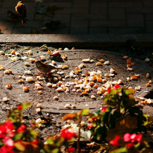 Photo #11803095