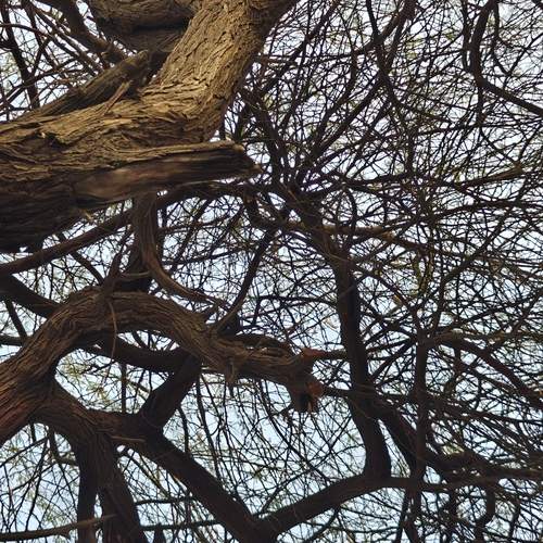 Photo #11803097