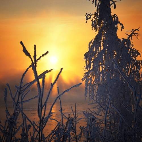 Photo #11803151