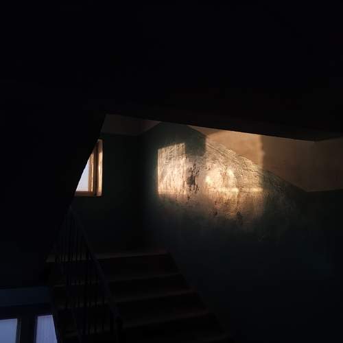 Photo #11803155