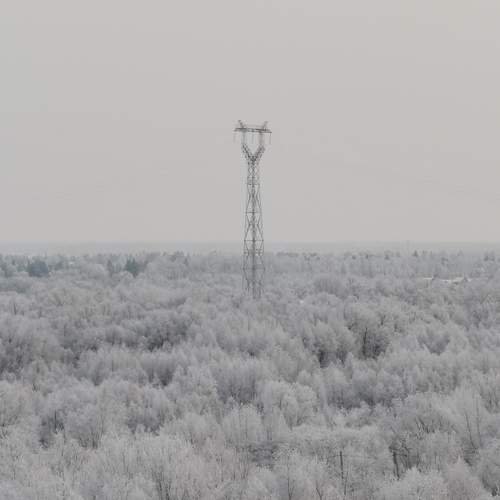 Photo #11803166