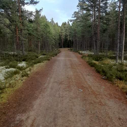 Photo #11803170