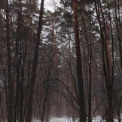 Оттепель