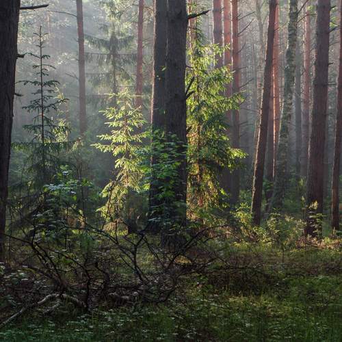 Photo #11803367