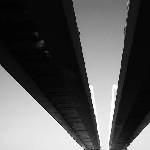 Photo #11803556