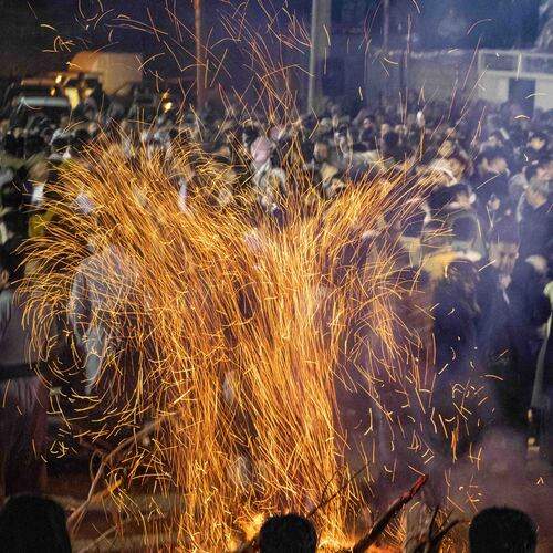 Photo #11803749