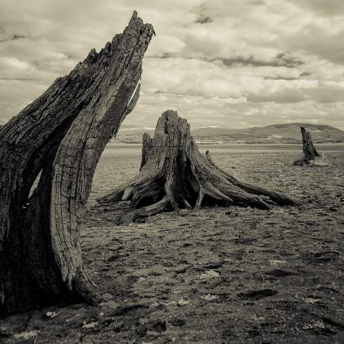 Photo #11804166