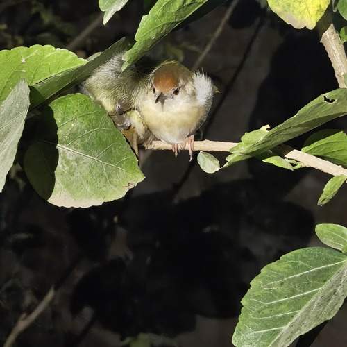 Photo #11804169