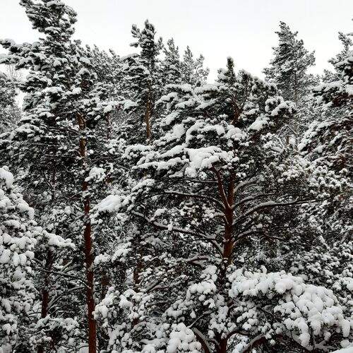 Photo #11804356