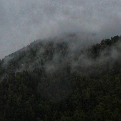 Photo #11804394