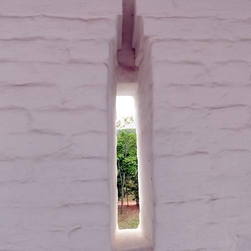 Photo #11804422