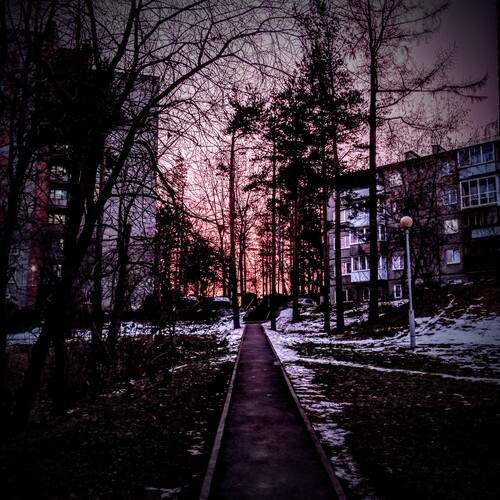 Photo #11804431
