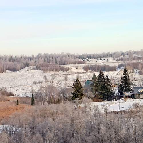 Photo #11804442