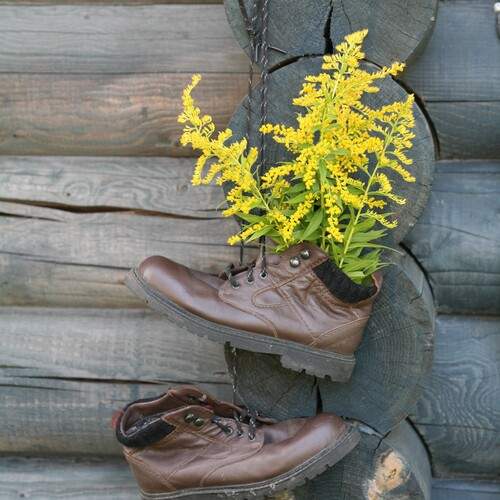 Photo #11804522