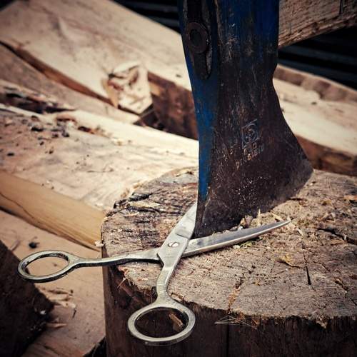 Photo #11804571