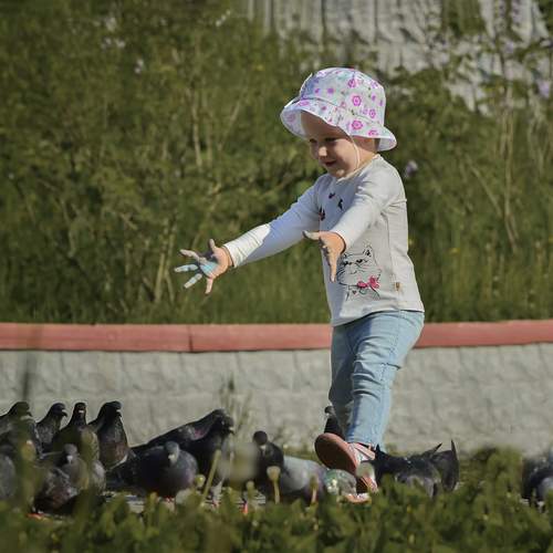 Photo #11804677