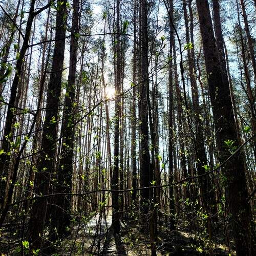 Photo #11804792