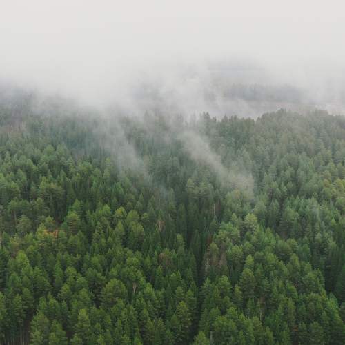 Photo #11804816