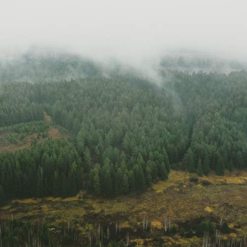 Photo #11804817