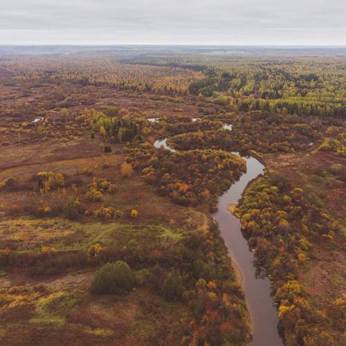 Photo #11804819