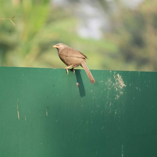 Photo #11804838