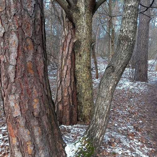 Photo #11804877