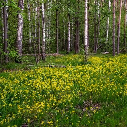 Photo #11804884