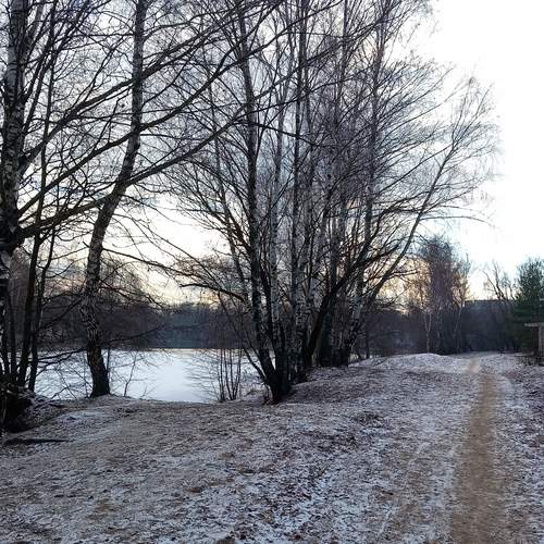 Photo #11804886
