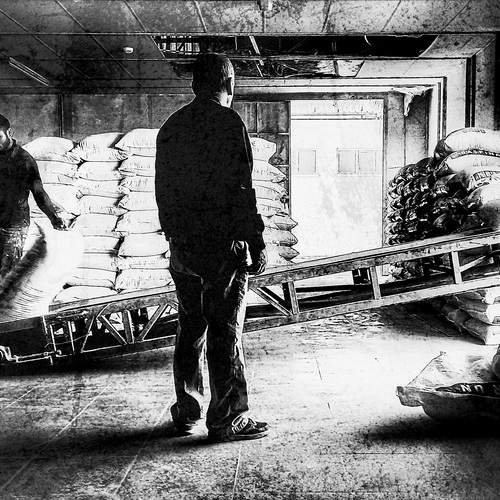 Photo #11804890